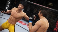 Bruce Lee w MMA